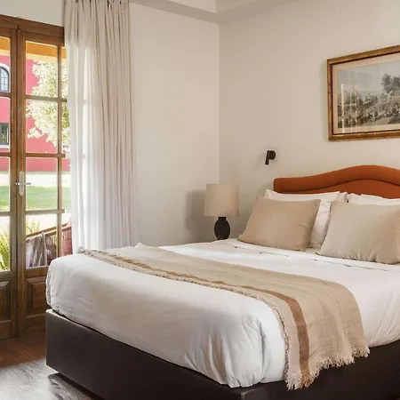 ホテル Grecotel Luxme Costa Botanica